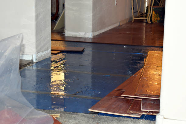 Professional Water Damage Restoration technician working in Pingree, ND